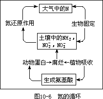 树立平衡营养观念 - 图1