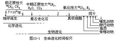 第 10 章 营养与化学元素 - 图1