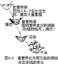 水体污染 - 图2