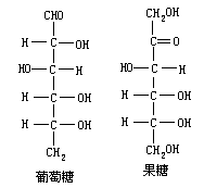 生命体中的重要有机化合物 - 图1