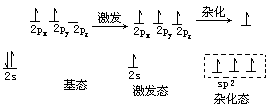 杂化轨道理论 - 图3