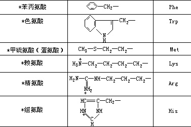 蛋白质、氨基酸、肽键 - 图5