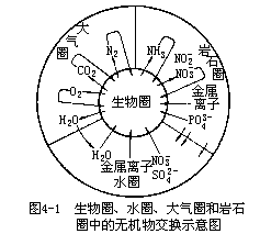 自然环境中化学物质的循环 - 图1