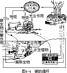 碳循环 - 图1