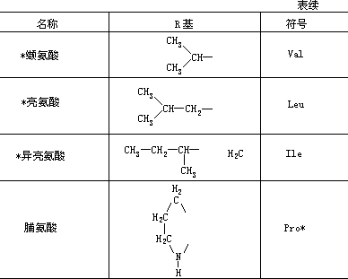 蛋白质、氨基酸、肽键 - 图4