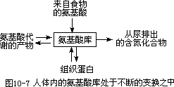 树立平衡营养观念 - 图2