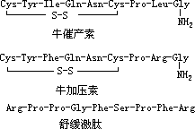 蛋白质、氨基酸、肽键 - 图9