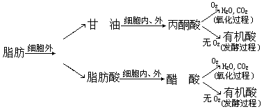 第四节 主要污染物在水环境中的迁移转化 - 图2