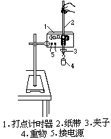 57 研究自由落体的运动规律 - 图6