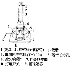 57 研究自由落体的运动规律 - 图9