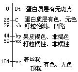 遗传学图 - 图3