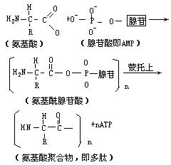 化学进化 - 图1