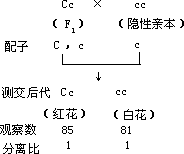 分离规律 - 图1