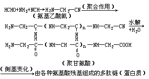 化学进化 - 图2