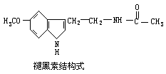 松果体 - 图1