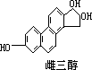 雌激素 - 图2