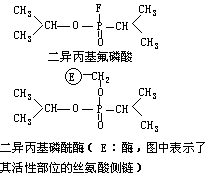 酶的抑制 - 图1