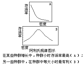 阿利氏规律 - 图1