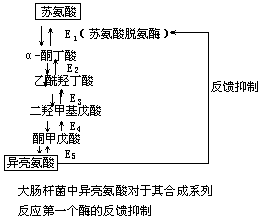 代谢调节 - 图1