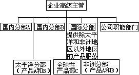 二 全球公司组织结构的基本形式 - 图4