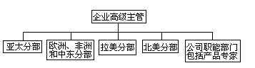 二 全球公司组织结构的基本形式 - 图2