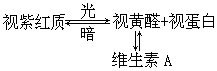 图 10-4 右眼盲点试验图 - 图1