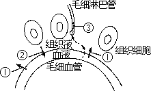 1993 年试题 - 图2