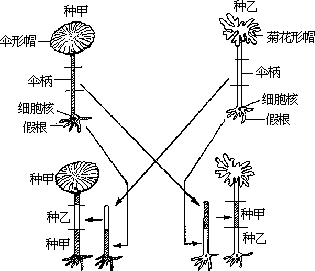 1987 年试题 - 图1