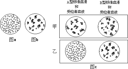 1988 年试题 - 图1