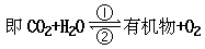 1993 年试题 - 图3