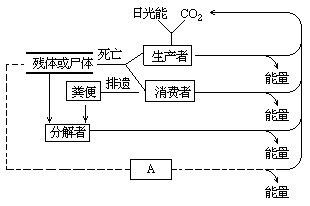 1990 年试题 - 图6