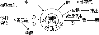 1989 年试题 - 图6