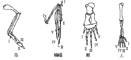 1984 年试题 - 图2