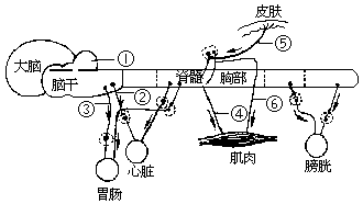 1993 年试题 - 图4