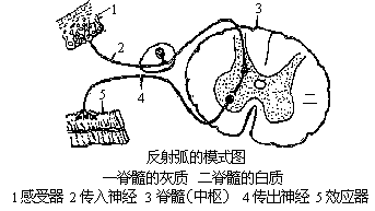 1985 年试题答案及评分标准 - 图1