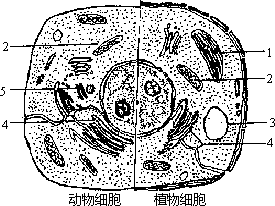 1983 年试题 - 图1