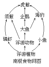 1985 年试题 - 图1