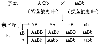 1982 年试题答案及评分标准 - 图2