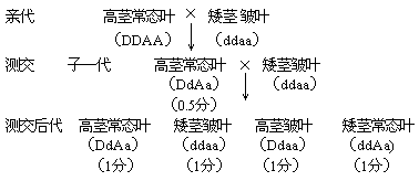 1983 年试题答案及评分标准 - 图3