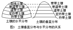 土壤的垂直地带性分布 - 图1