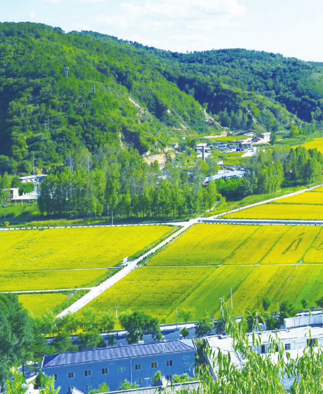 第2篇 红色热土 - 图8