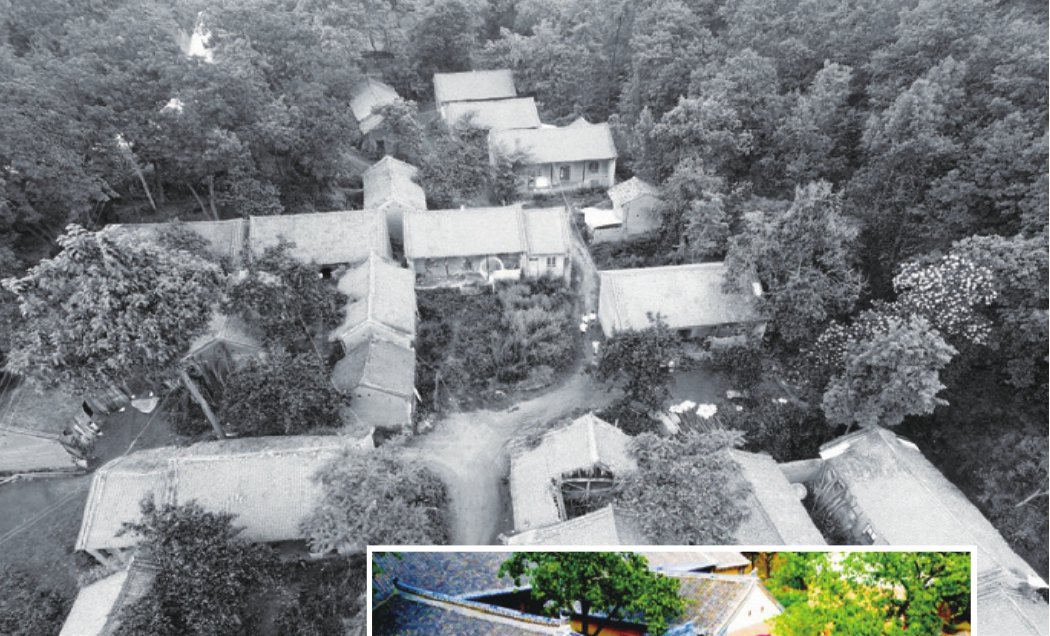 第3篇 小康路上 - 图13