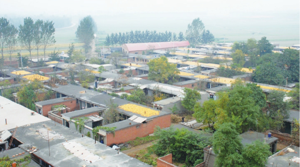 第3篇 小康路上 - 图23