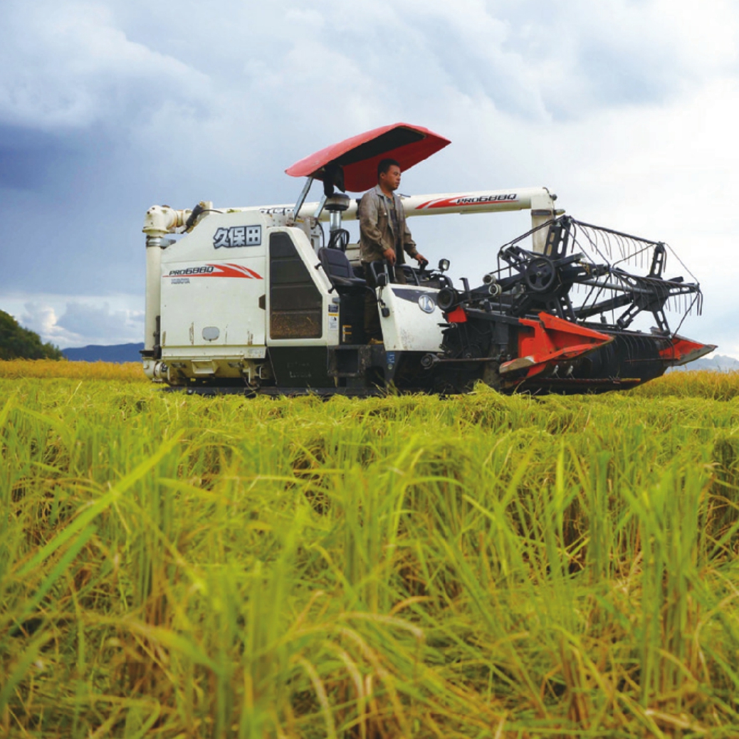 第2篇 红色热土 - 图17