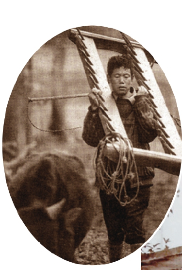 第1篇 改革地标 - 图10