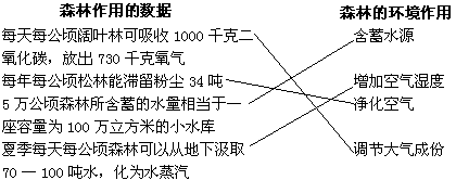 森林是大自然的总调度室保护森林 - 图1