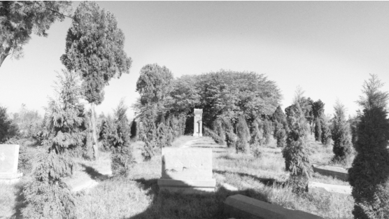 二、文化遗存遍濮州 - 图29