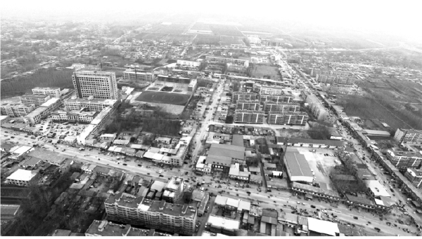 二、文化遗存遍濮州 - 图13