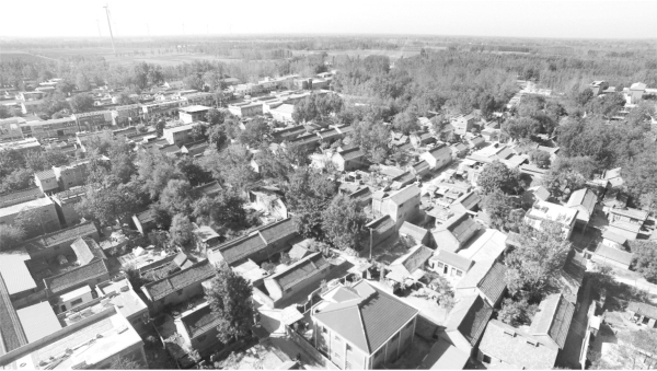 二、文化遗存遍濮州 - 图11