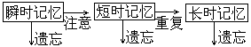 第七章 形成综合程序教学法教学功能的现代教学论因素 - 图1